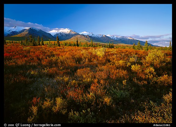 Late afternoon light on tundra and smaller mountain range. Denali National Park, Alaska, USA.