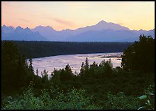 Mt Mc Kinley and Chulitna River at sunset from  Denali State Park. Denali  National Park ( color)
