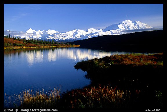 Mt Mc Kinley above Wonder Lake, evening. Denali  National Park (color)