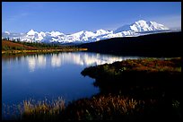 Mt Mc Kinley above Wonder Lake, evening. Denali  National Park, Alaska, USA.