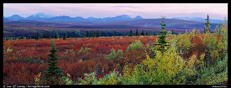 Tundra and Alaska range in autumn. Denali National Park (color)