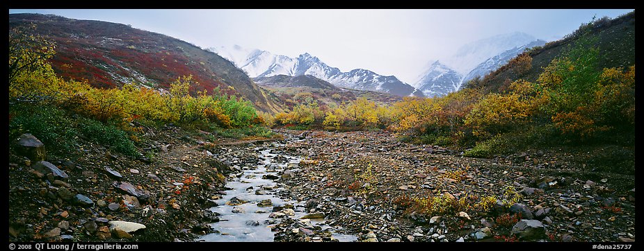 Rocky creek, trees, and snowy mountains in autumn. Denali  National Park (color)