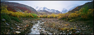 Rocky creek, trees, and snowy mountains in autumn. Denali  National Park (Panoramic color)