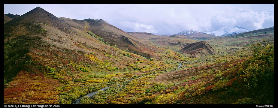 Tundra-covered foothills and valley. Denali  National Park (color)