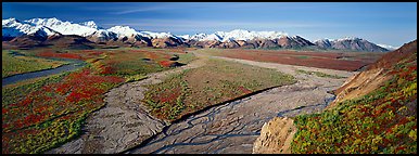 Alaskan scenery with wide braided rivers and mountains. Denali  National Park (Panoramic color)