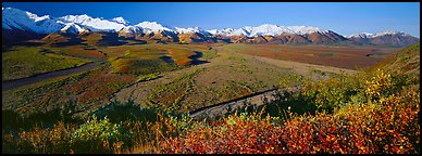 Alaskan mountain landscape with wide river valley. Denali National Park (Panoramic color)