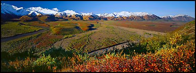 Alaskan mountain landscape with wide river valley. Denali  National Park (Panoramic color)