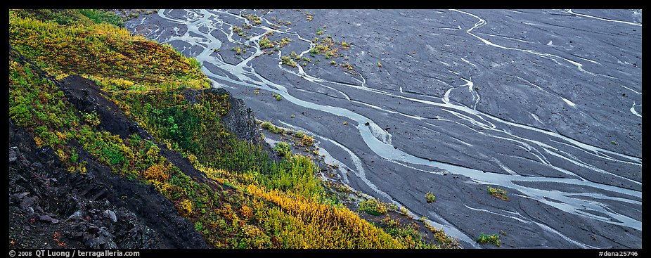 Wide braided river and aspens in autumn. Denali National Park (color)