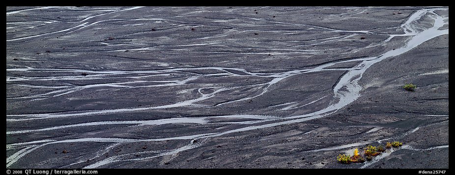 Sand bar and braided river. Denali  National Park (color)