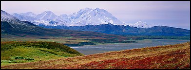 Mount McKinley rises above autumn tundra. Denali  National Park (Panoramic color)