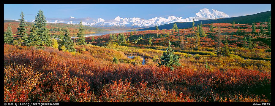 Seasons passing on the tundra. Denali  National Park (color)