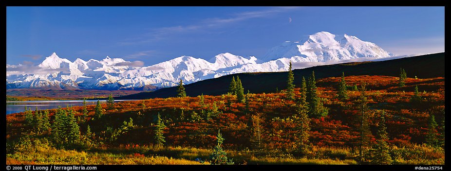 Tundra landscape with Mount McKinley. Denali National Park, Alaska, USA.