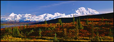 Tundra landscape with Mount McKinley. Denali  National Park (Panoramic color)