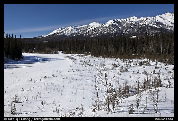 Riley Creek in winter. Denali National Park, Alaska, USA.