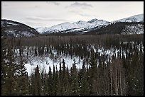 Riley Creek drainage and mountains in winter. Denali National Park, Alaska, USA. (color)