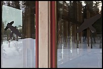 Forest with bare trees, Denali visitor center window reflexion. Denali National Park, Alaska, USA.