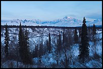 Alaska range and boreal forest in winter. Denali National Park, Alaska, USA.