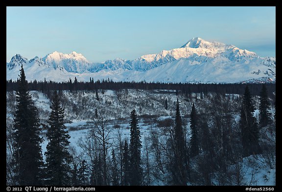 Alaska range peaks rising above forest at sunrise. Denali National Park, Alaska, USA.