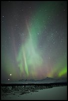 Aurora above Mt McKinley, winter. Denali National Park ( color)