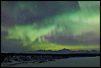 Aurora and stars above Alaska range. Denali National Park, Alaska, USA.