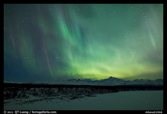 Northern lights  above Alaska range. Denali National Park (color)