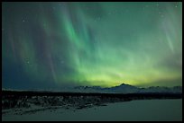 Northern lights  above Alaska range. Denali National Park, Alaska, USA. (color)