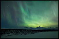 Northern lights above Alaska range. Denali National Park, Alaska, USA.