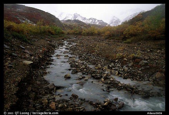 Creek near Polychrome Pass. Denali  National Park, Alaska, USA.