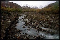 Creek near Polychrome Pass. Denali  National Park, Alaska, USA.