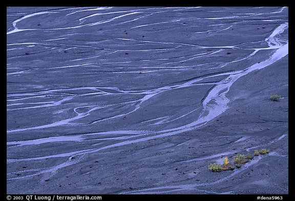 Braids of the  McKinley River on sand bar near Eielson. Denali  National Park (color)