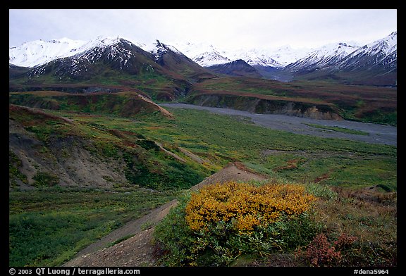 Alaska Range from Eielson. Denali National Park, Alaska, USA.