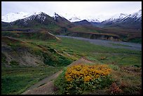 Alaska Range from Eielson. Denali National Park, Alaska, USA.