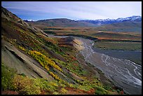 Braided river from Polychrome Pass, morning. Denali National Park, Alaska, USA.