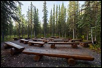 Amphitheater, Riley Creek Campground. Denali National Park ( color)