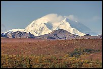 Denali from park road in autumn. Denali National Park ( color)