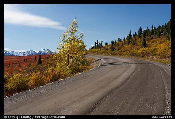 Unpaved section of park road and Alaska Range. Denali National Park (color)