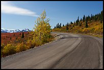 Unpaved section of park road and Alaska Range. Denali National Park ( color)