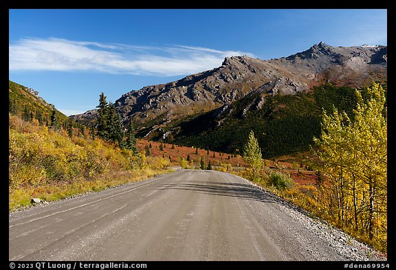 Unpaved section of park road and Mt Healey Range. Denali National Park (color)