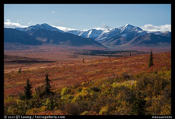 Tundra in autumn and Alaska Range. Denali National Park (color)