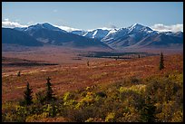 Tundra in autumn and Alaska Range. Denali National Park ( color)