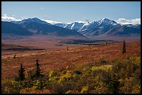 Tundra in autumn and Alaska Range. Denali National Park ( color)