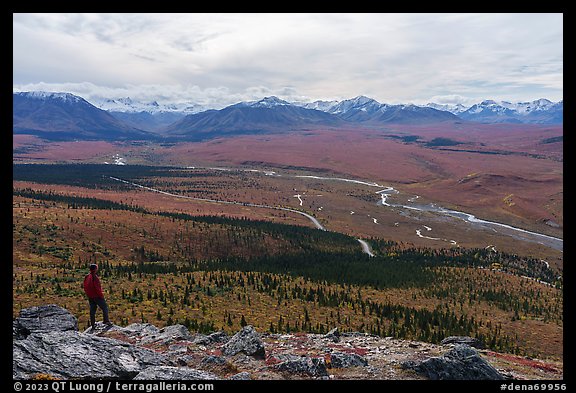 Visitor looking, Savage River and Alaska Range. Denali National Park (color)