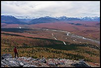 Visitor looking, Savage River and Alaska Range. Denali National Park ( color)