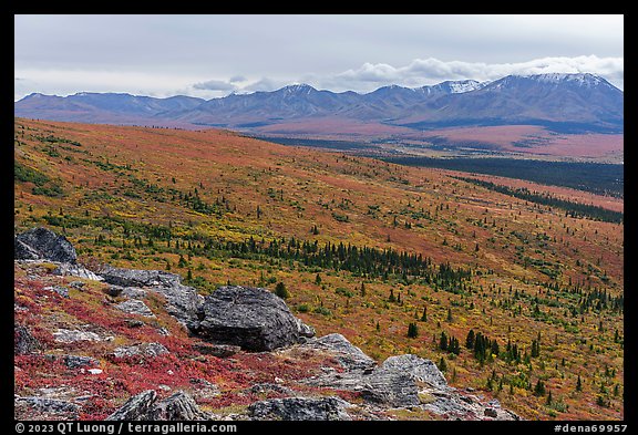View from Savage Alpine Trail in autumn. Denali National Park, Alaska, USA.