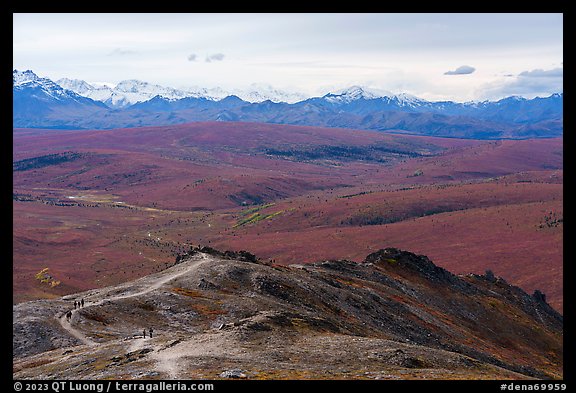 Hikers on Savage Alpine Trail. Denali National Park (color)