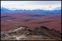 Hikers on Savage Alpine Trail. Denali National Park ( color)