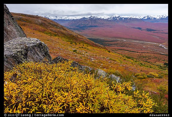 Shrubs, tundra, and snowy mountains. Denali National Park (color)