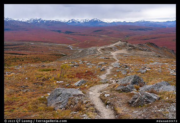 Savage Alpine Trail. Denali National Park (color)