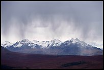 Rain clouds and Alaska Range. Denali National Park ( color)