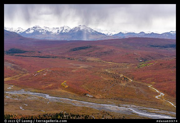 Savage River, tundra in autum color, and Alaska Range with rain. Denali National Park (color)